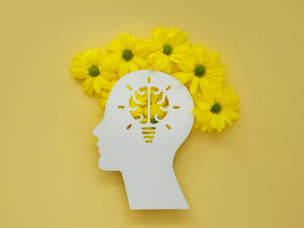 Jeûne Intermittent 16/8 : Impact sur le Métabolisme et la Santé Cognitive