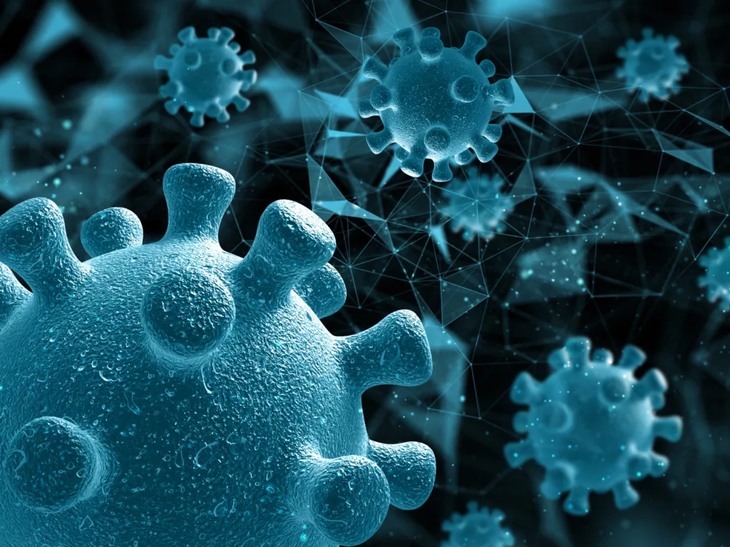 Jeûne Hydrique et Immunité : On fait le point sur comment renforcer ses défenses naturelles système immunitaire